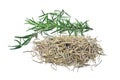 Fresh and dried rosemary isolated on white background Royalty Free Stock Photo