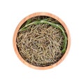 Fresh and dried rosemary isolated on white background Royalty Free Stock Photo