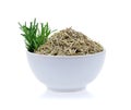 Fresh and dried rosemary on white background Royalty Free Stock Photo