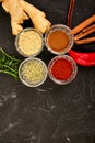 Fresh and dried seasoning herbs and spices Royalty Free Stock Photo