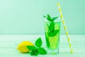 Fresh drink cocktail mojito with lemon, lime and lemon Royalty Free Stock Photo