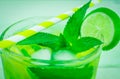 Fresh drink cocktail mojito with lemon, lime and lemon Royalty Free Stock Photo