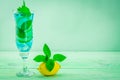 Fresh drink cocktail mojito with lemon, lime and mint Royalty Free Stock Photo