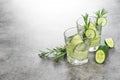 Fresh drink cucumber rosemary herb Cold summer beverage Royalty Free Stock Photo