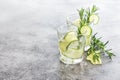 Fresh drink cucumber rosemary herb Cold summer lemonade Royalty Free Stock Photo