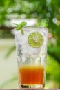 Fresh drink honey lemon soda with lime slice and mint on green b Royalty Free Stock Photo