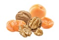 Fresh and dry apricots, walnut nuts isolated on white background Royalty Free Stock Photo