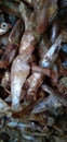 Fresh dry fish , small dried fish Royalty Free Stock Photo