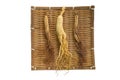 Fresh and dry ginseng on bamboo weave with isolated on the white background Royalty Free Stock Photo