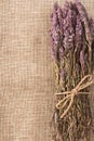 Fresh dry lavender bundle, on sackcloth with copy-space Royalty Free Stock Photo