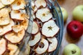 Fresh dryed apple chips prepared in a home