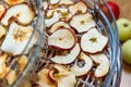 Fresh dryed apple chips prepared in a home