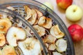 Fresh dryed apple chips prepared in a home