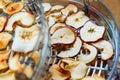 Fresh dryed apple chips prepared in a home