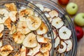 Fresh dryed apple chips prepared in a home