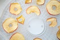 Fresh dryed apple chips prepared in a home fruit and vegetable dryer. Healthy vegetarian vegan food concept, fruit diet.