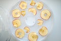 Fresh dryed apple chips prepared in a home fruit and vegetable dryer. Healthy vegetarian vegan food concept, fruit diet.