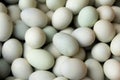 Fresh duck eggs