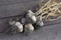 Fresh garlic after ingathering on wooden ristic surface Royalty Free Stock Photo