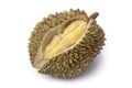 Fresh Durian fruit Royalty Free Stock Photo