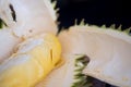 Fresh durian fruit from the durian garden for sale in the local market Royalty Free Stock Photo