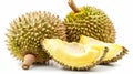 Fresh durian fruit isolated on white background, Durian is a king of fruit, Generative AI illustrations