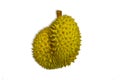 Fresh durian fruit isolated on white background. Royalty Free Stock Photo