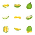 Fresh durian icon set, cartoon style Royalty Free Stock Photo