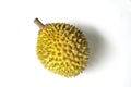 Fresh Durian Isolated on White Background. Royalty Free Stock Photo