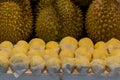 Fresh Durian or king of fruits for sell at market