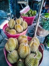Fresh Durian Long Lab-Lae in market