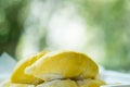 Fresh durian peeled on tray and ripe durian tropical fruit