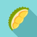 Fresh durian piece icon, flat style
