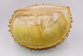 Fresh durian sarcocarp with shells on white background Royalty Free Stock Photo