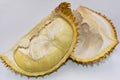 Fresh durian sarcocarp with shells on white background