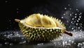 Fresh durian with water droplets on black background. Ripe tropical fruit Royalty Free Stock Photo