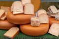 Fresh Dutch Bio Cheese blocks on sale at a farmers market shop Royalty Free Stock Photo