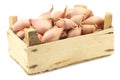 Fresh dutch shallots in a wooden box Royalty Free Stock Photo