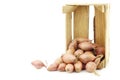 Fresh dutch shallots in a wooden box Royalty Free Stock Photo