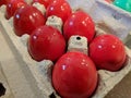 Fresh dyed easter eggs in dark red for orthodox pascha service