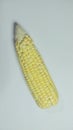 Fresh ear of corn on white background, close-up food image with natural texture and yellow kernels. Royalty Free Stock Photo