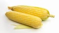 Fresh ear of corns isolated on white background Royalty Free Stock Photo