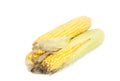 Fresh Ear of Corns isolated on a white Royalty Free Stock Photo