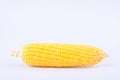 Fresh ear of sweet corn on cobs kernels or grains of ripe corn on white background sweet corn vegetable Royalty Free Stock Photo