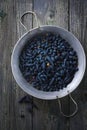 Fresh early berry - edible honeysuckle