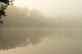 Fresh early morning mist in the forest with a lake or river. Royalty Free Stock Photo