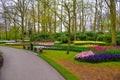 Fresh early spring pink, purple, white hyacinth bulbs. Flowerbed with hyacinths in Keukenhof park, Lisse, Holland, Netherlands. Royalty Free Stock Photo