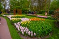 Fresh early spring pink, purple, white hyacinth bulbs. Flowerbed with hyacinths in Keukenhof park, Lisse, Holland, Netherlands