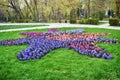 Fresh early spring purple, white and pink hyacinth bulbs, grown in the fowerbeds of the city park garden Royalty Free Stock Photo