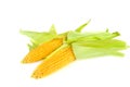 Fresh ears of sweet corn  on white background Royalty Free Stock Photo